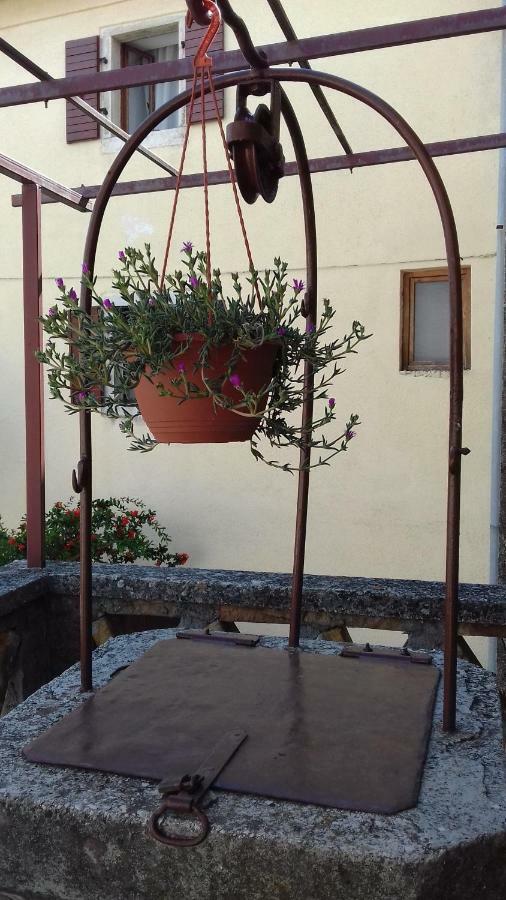 Zrenj Rural Apartment Carolina מראה חיצוני תמונה