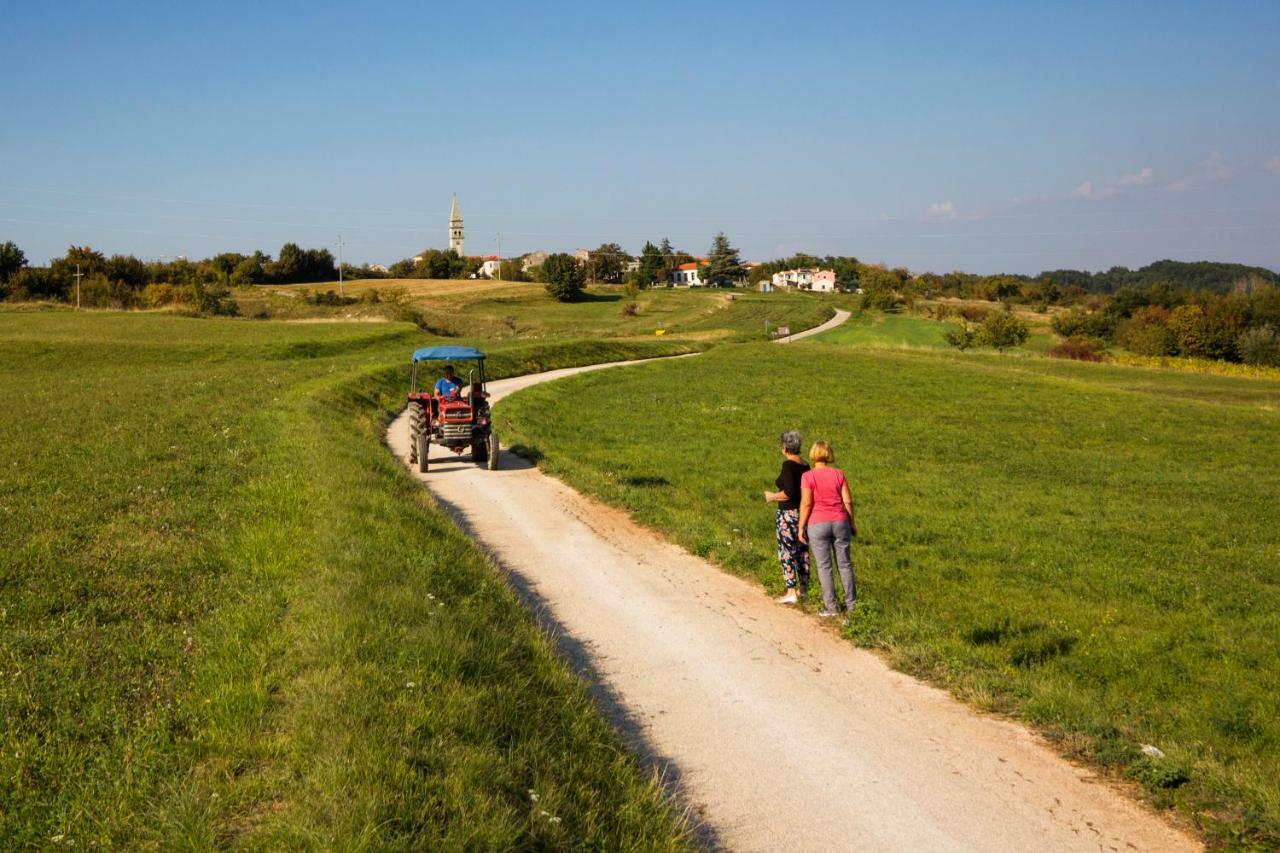 Zrenj Rural Apartment Carolina מראה חיצוני תמונה