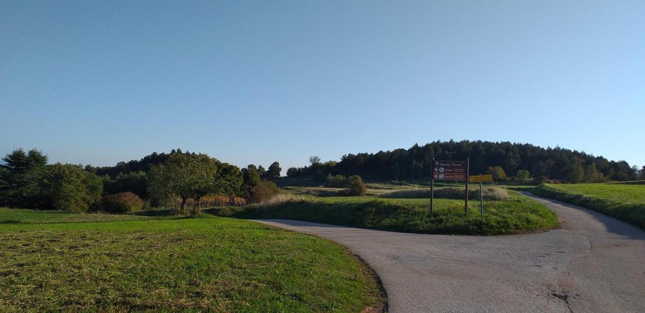 Zrenj Rural Apartment Carolina מראה חיצוני תמונה