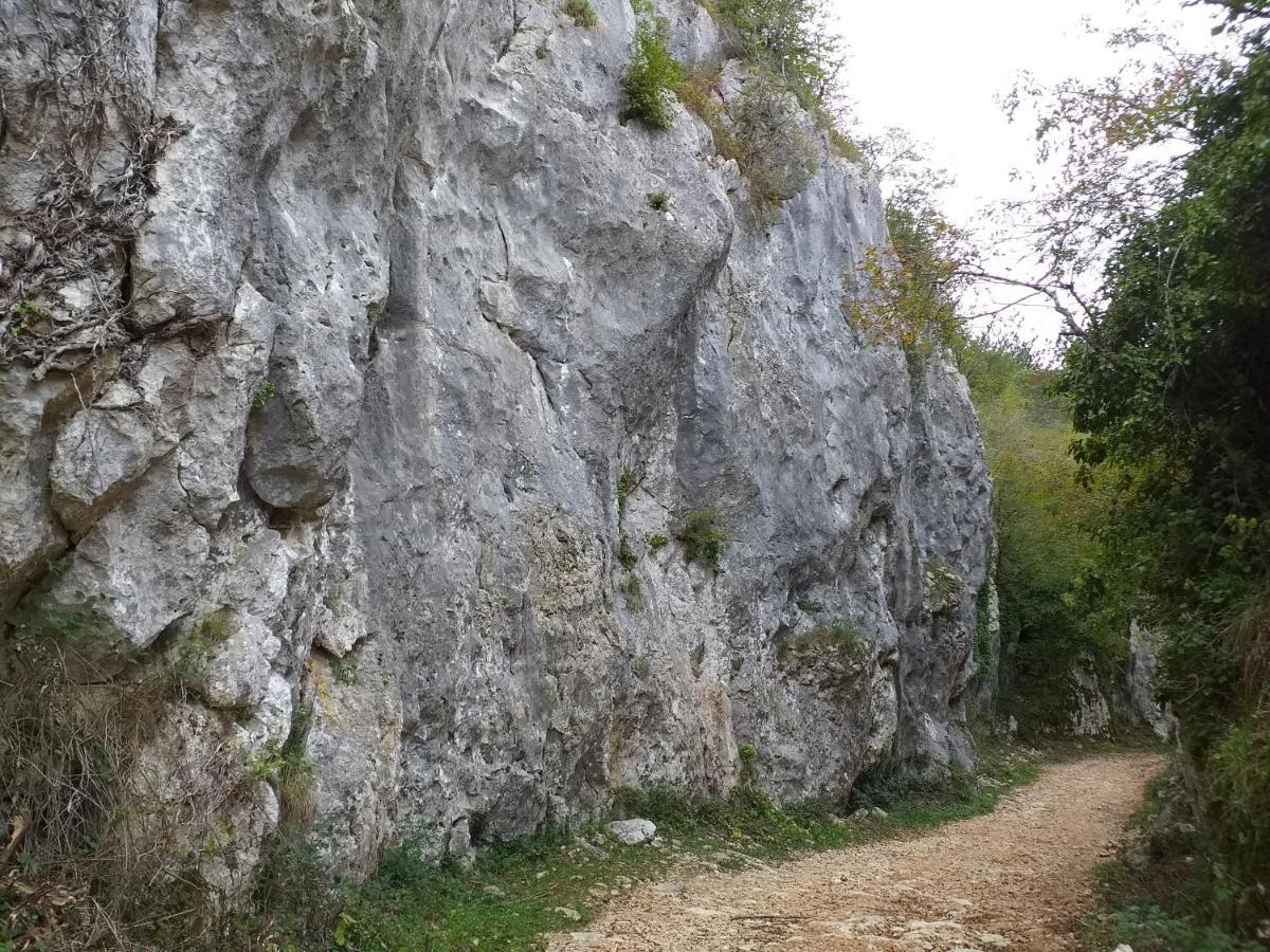 Zrenj Rural Apartment Carolina מראה חיצוני תמונה